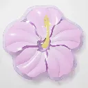Hibiscus-1.webp