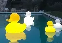 Duck-lamp-XL-en-L.webp