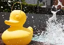 Duck-lamp-XL-3.webp