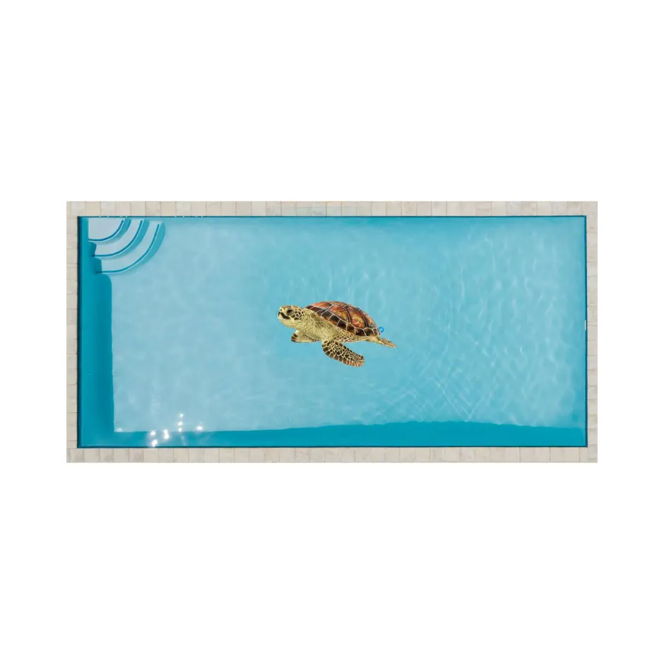 [O013] Standard pool tattoo turtle